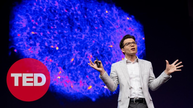 How We're Reverse Engineering The Human Brain In The Lab : Sergiu P. Pasca : Ted