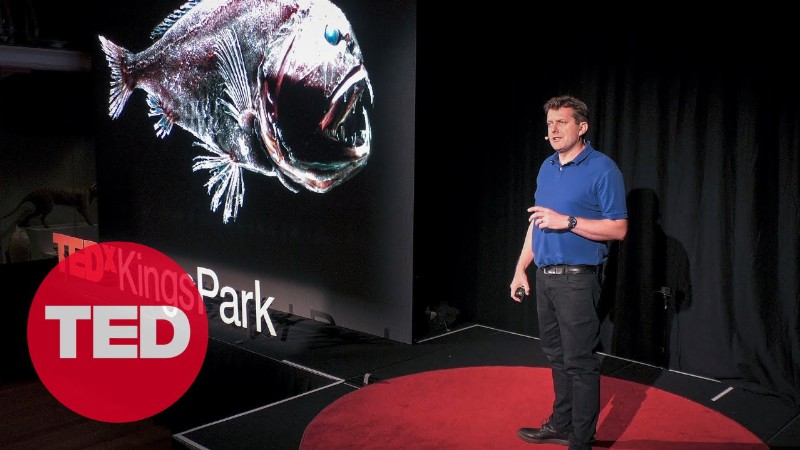 Meet The Mysterious “monsters” Of The Deep Sea : Alan Jamieson : Ted