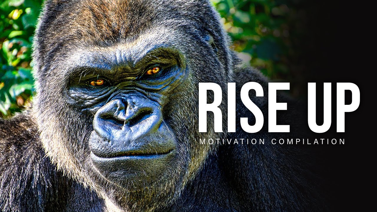 Rise Up - Best Motivational Speech Video Compilation : 30-minutes Of The Best Motivation