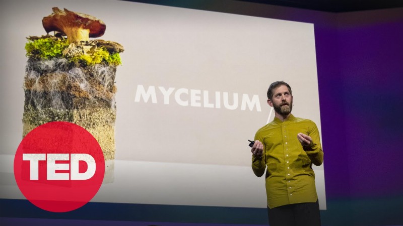 The Future Of Fashion – Made From Mushrooms : Dan Widmaier : Ted
