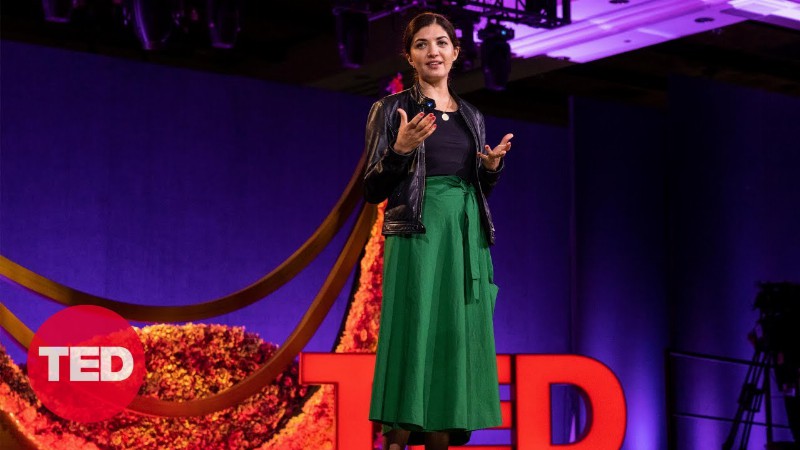 What It's Like To Be A War Refugee : Zarlasht Halaimzai : Ted